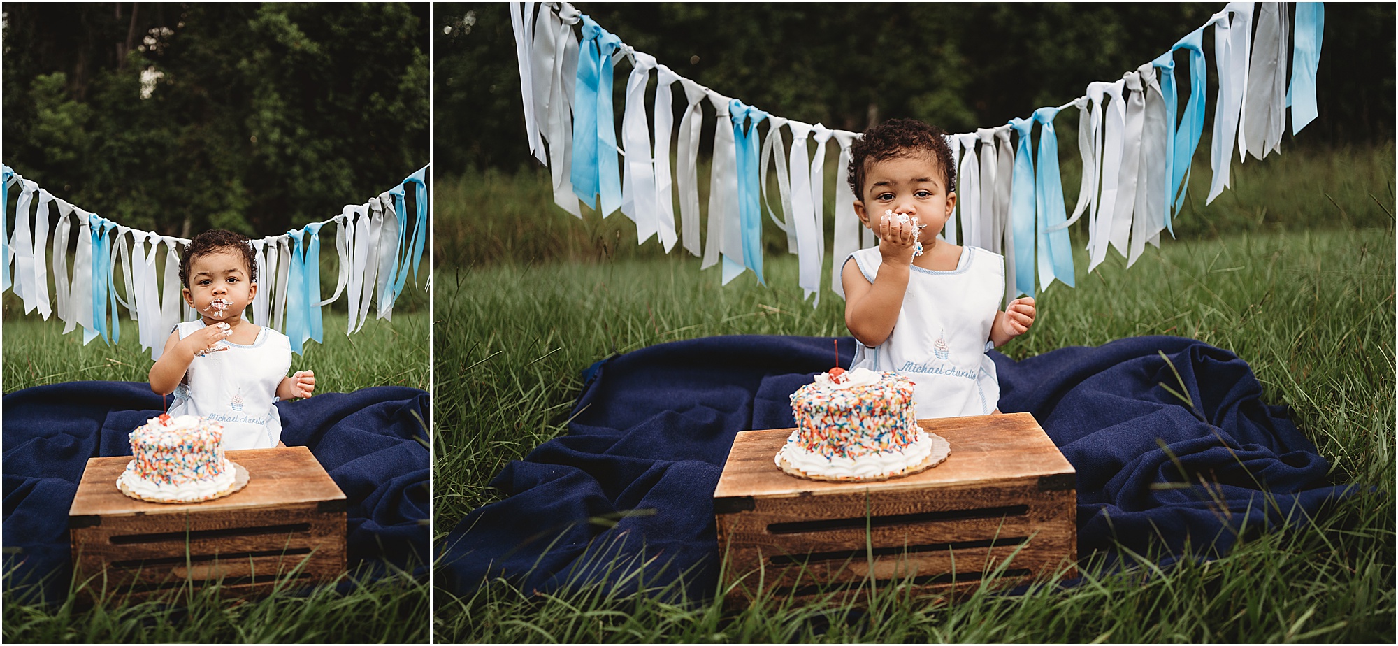 Wesley Chapel First Birthday Photographer