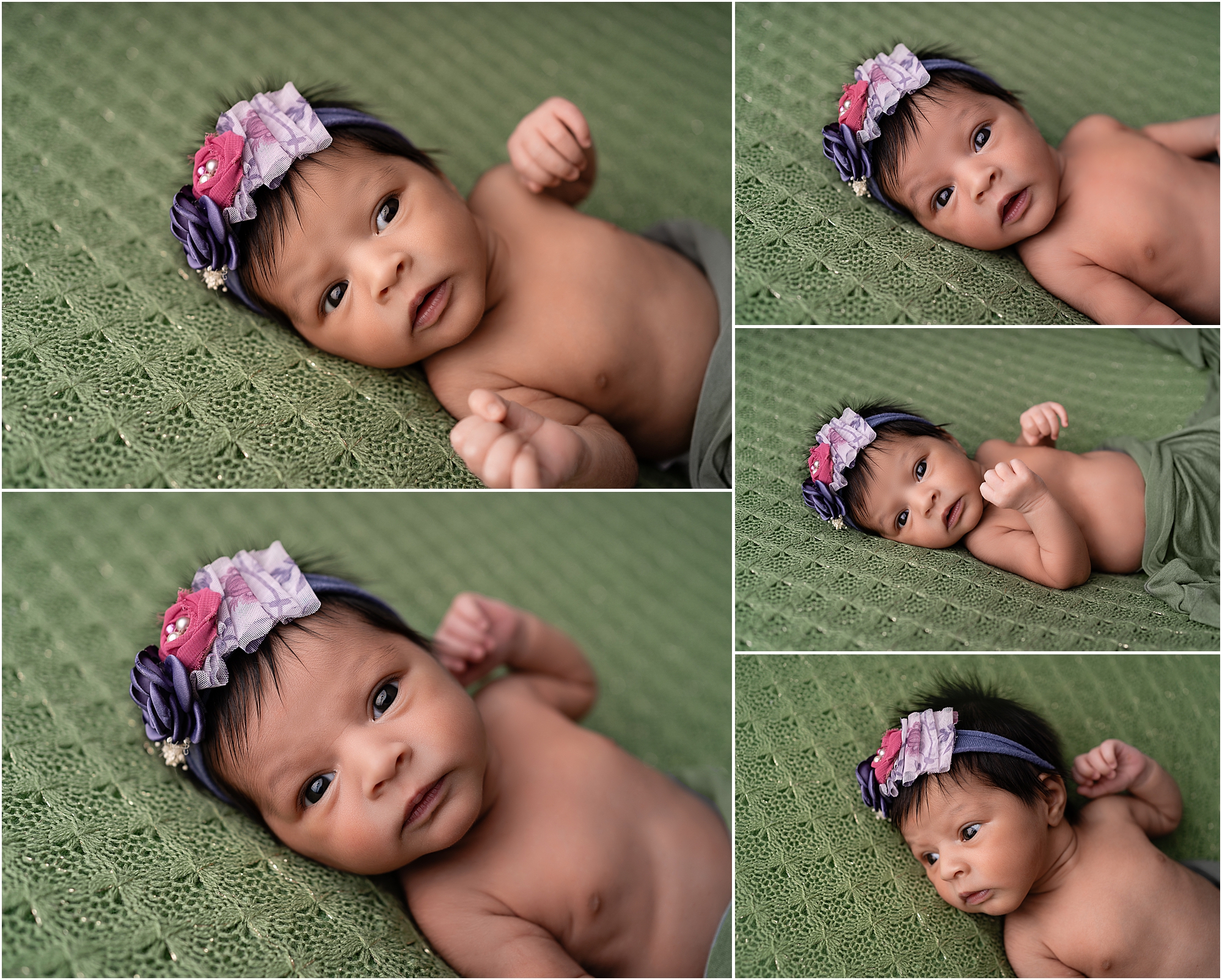 tampa newborn photo session