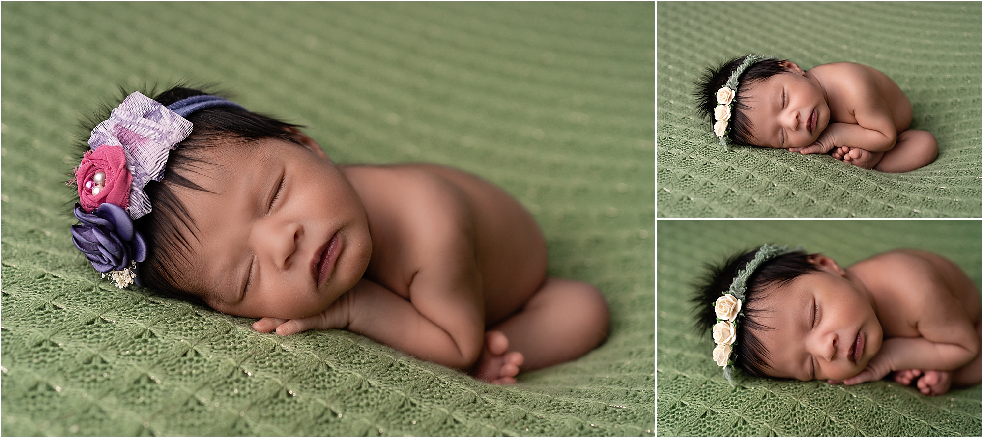tampa newborn photo session