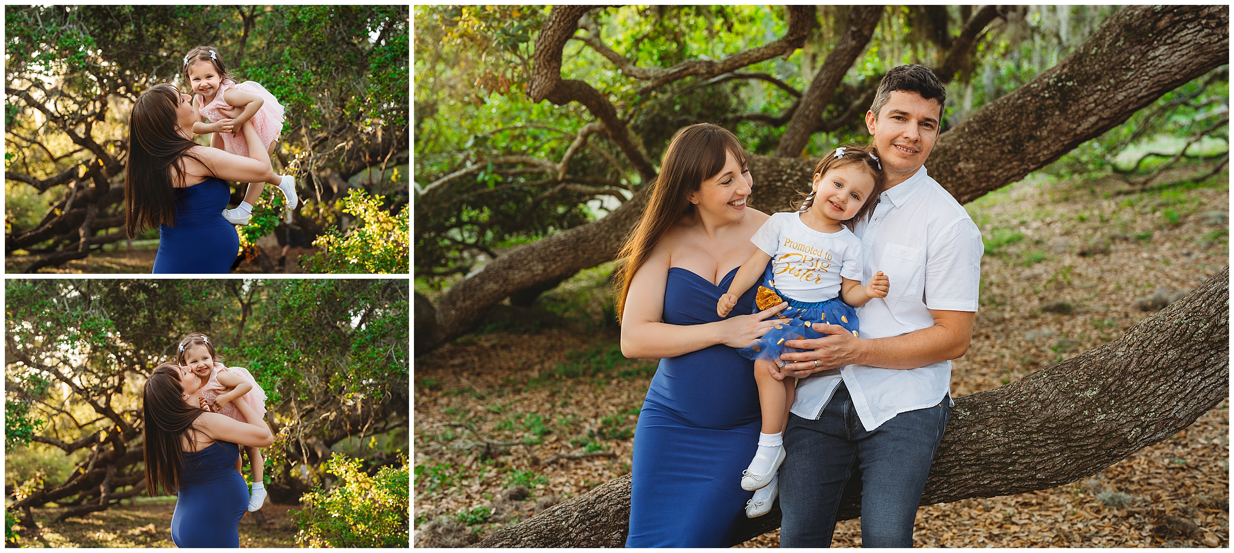 clearwater maternity photos